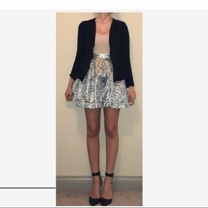 Silvery Gold & Brown Shiny Skirt